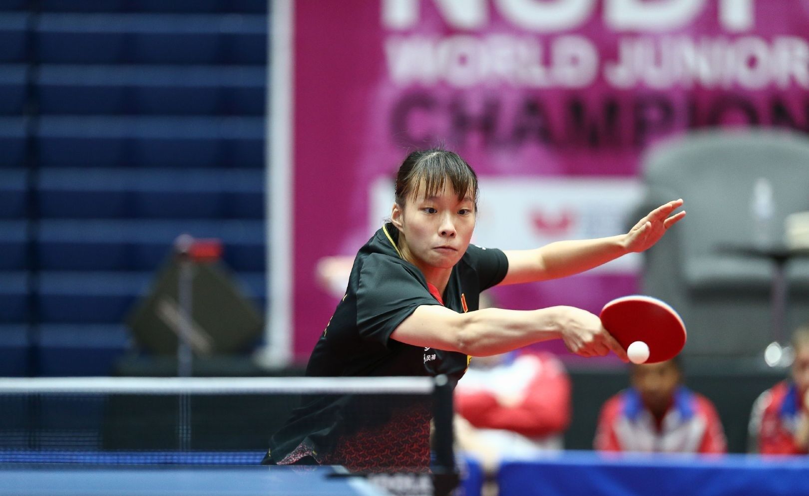 本赛季的挑 本赛季的挑