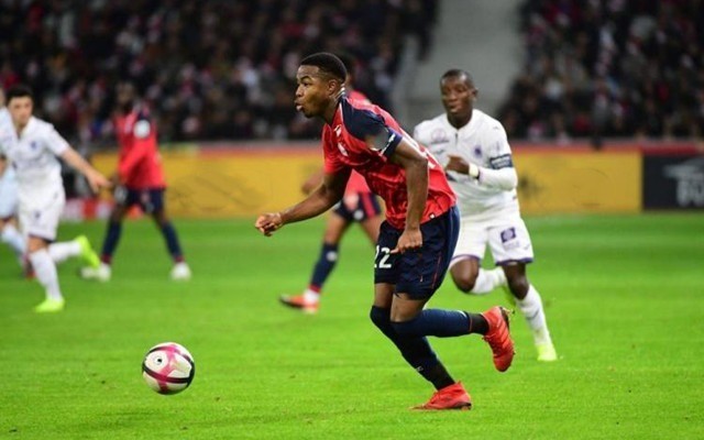 发挥登顶 发挥登顶